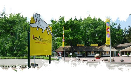 Experience the Amersfoort Zoo
